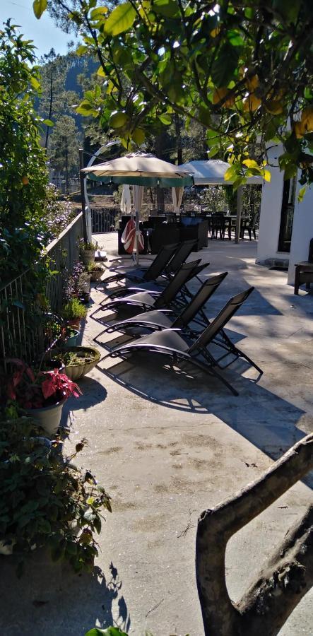 Casa Do Avo Xico - Geres Lake House - 10Pax Экстерьер фото